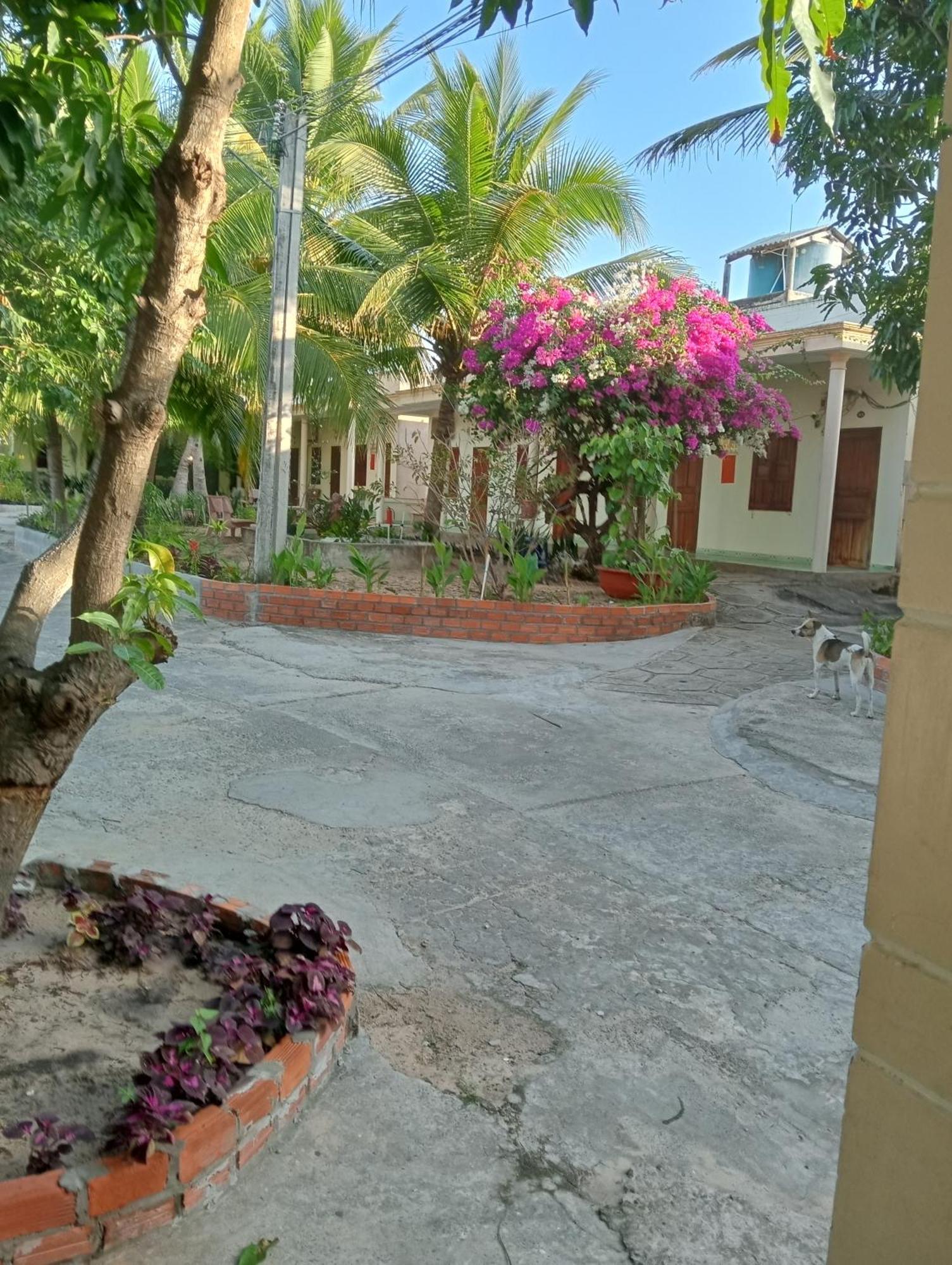 Homestay Nhat Thi Mũi Né Ngoại thất bức ảnh